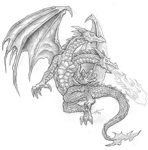 1000+ images about Blitzkrieg the Dragon on Pinterest | Red dragon, Dragon and Dragon sketch