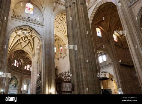 Dramatic interior views of Segovia cathedral, Spain Stock Photo - Alamy