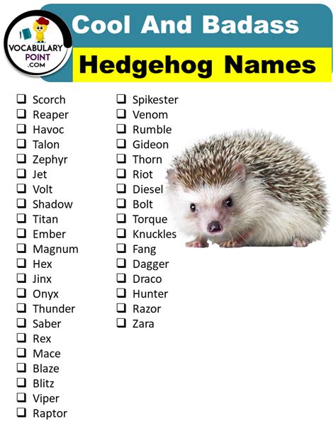 Best Hedgehog Names (Cute, Funny & Popular) - Vocabulary Point