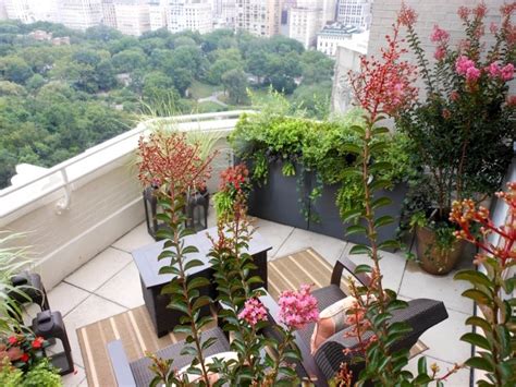 Pin by Tenley Peterson on Condo Balcony Decor | Plants, Potted plants ...