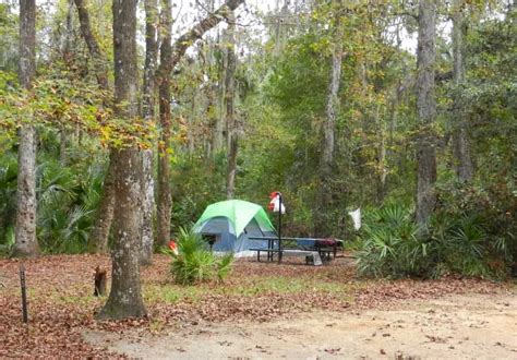 6 things to do in Ocala National Forest