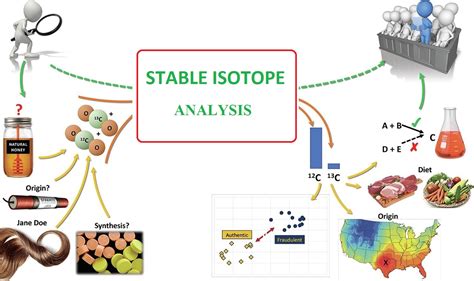 Application of stable isotopes in food control - Mesbah Energy