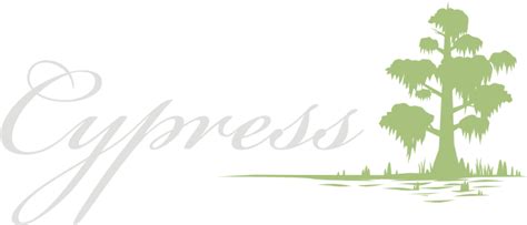 Cypress Tree Logo