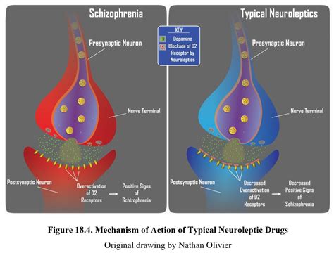 Atypical Antipsychotics Mechanism Of Action