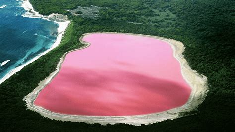 This Lake In Australia Is Pink. Here's Why