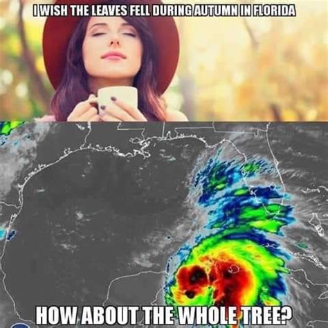 Fall in Florida : r/funny