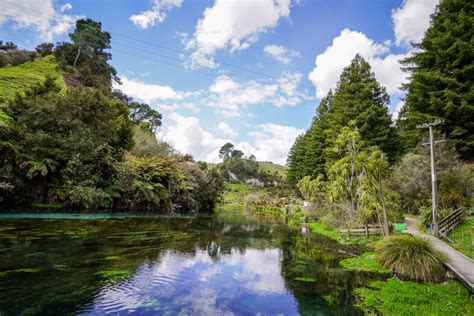 Putaruru Blue Springs Te Waihou Walkway: Waikato's best kept secret.