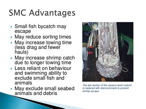 Bycatch Reduction Devices