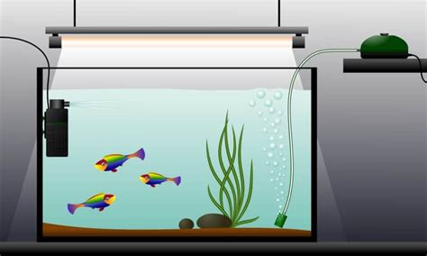 Best Aquarium Air Stone: Guide to Fish Tank Bubblers - Fish Laboratory