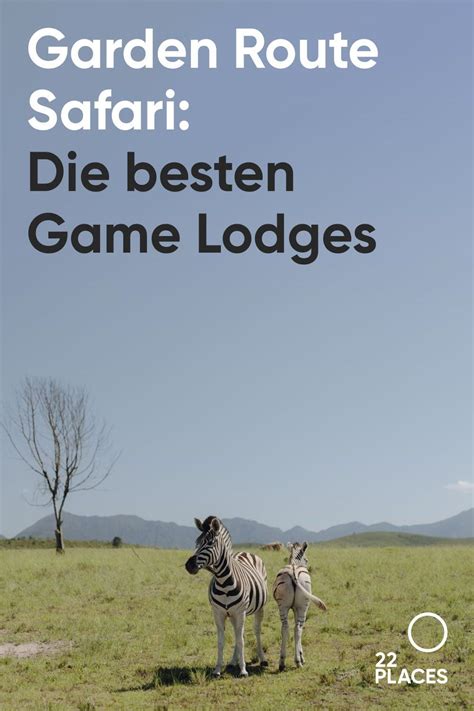 Garden route safari die 10 besten game reserves – Artofit