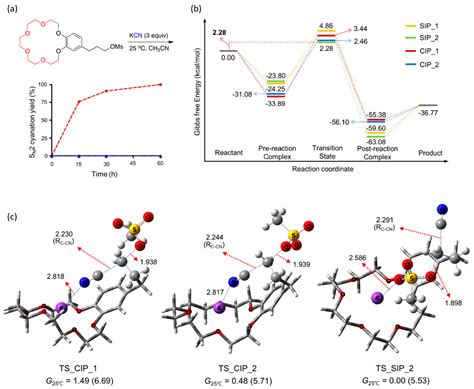 Unlocking The Potential Of Crown Ethers In SN2 Reactions