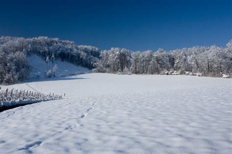 Snowfield Free Photo Download | FreeImages