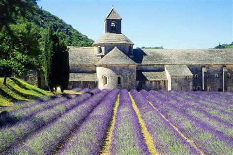 Medieval monasteries still intact around France