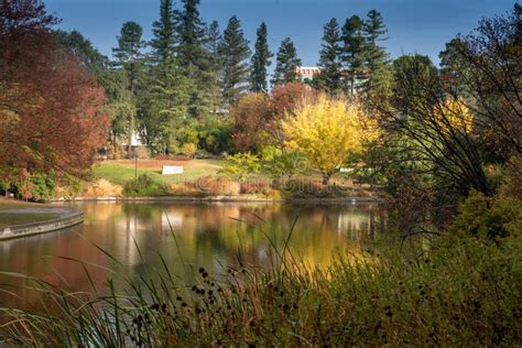 UC Davis Arboretum in the Autumn Editorial Stock Photo - Image of ...