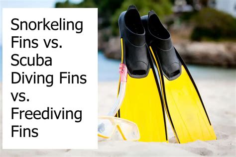 Snorkeling Fins vs. Scuba Diving Fins vs. Freediving Fins - Scuba ...