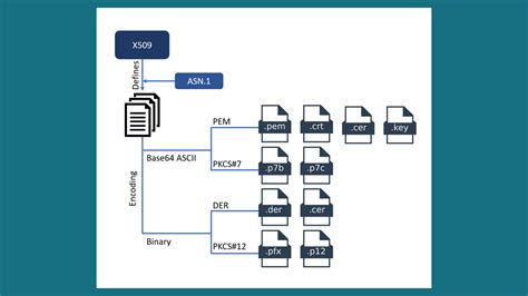 What is a pfx file in SSL certificates and why you should save it ...