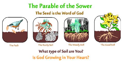 Parable of the Sower - Alchetron, The Free Social Encyclopedia