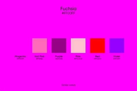 Fuchsia Color: Its Meaning, Similar Colors, and Codes - Picsart Blog