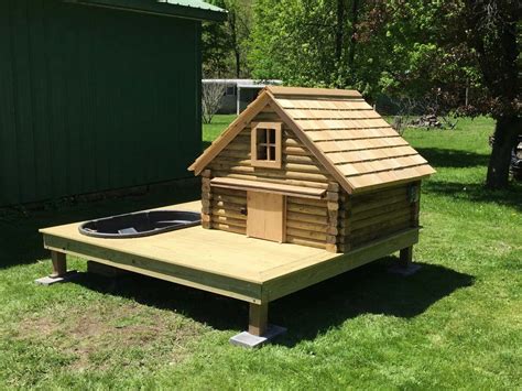 Duck Coops: 15 Tips to Design the Perfect Coop for Your Ducks