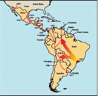 Spread of Africanized killer bees in South America