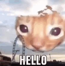 Hello Meme GIFs | Tenor