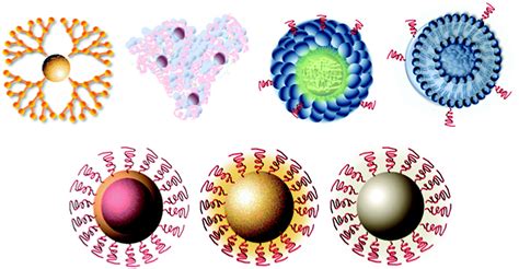 Nanoparticles and their applications in cell and molecular biology - Integrative Biology (RSC ...