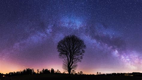 1920x1080 Resolution Milky Way and Lonely Tree 1080P Laptop Full HD Wallpaper - Wallpapers Den