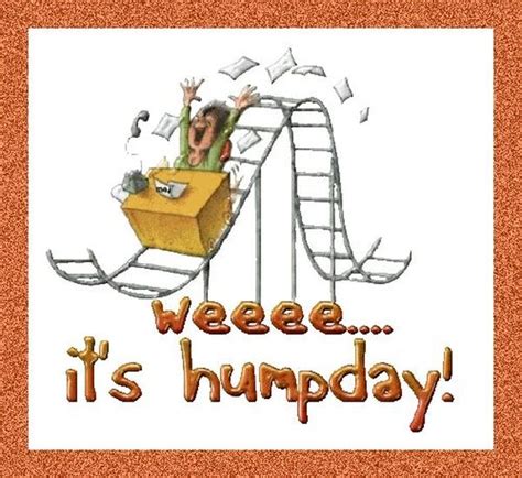 Happy Hump Day Memes - Images, Humor and Funny Pics