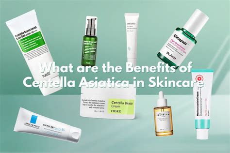 Centella Asiatica (Cica) Benefits in Skincare - Kbeauty Notes