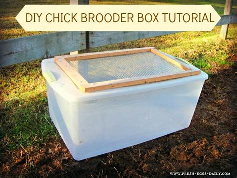 Chcken Coop: Easy DIY Chick Brooder Box Tutorial