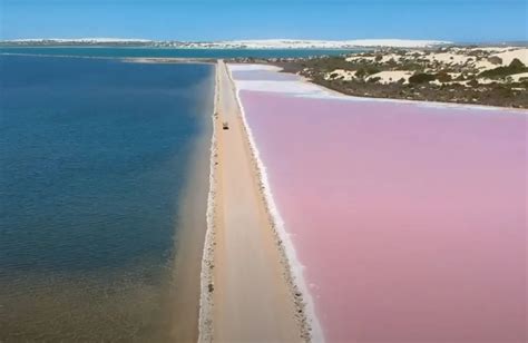 Lake MacDonnell (Pink Lake) Self-drive Tour ‣ Ceduna Online