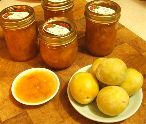 Golden Plum Jam | The Jam turned out very well. The lemon an… | Flickr