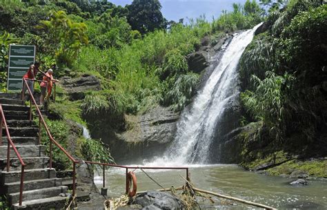 Grenada Waterfalls Grenada Island, Island Tour, Cream Puffs, Waterfalls, Sailing, Cruise, Tours ...