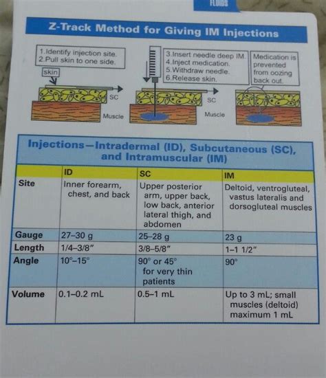 Z track method fire giving IM injections | Nursing school survival, Nursing school tips ...