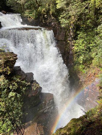 Wilderness Expeditions Tasmania Pty Ltd - All You Need to Know BEFORE You Go