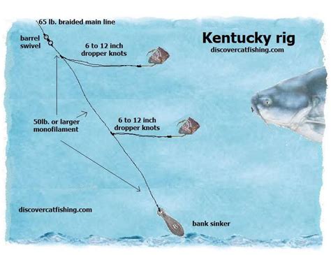 Best Catfish Rig | How to tie your dropper knots for your hooks | Fishing | Fish, Catfish ...