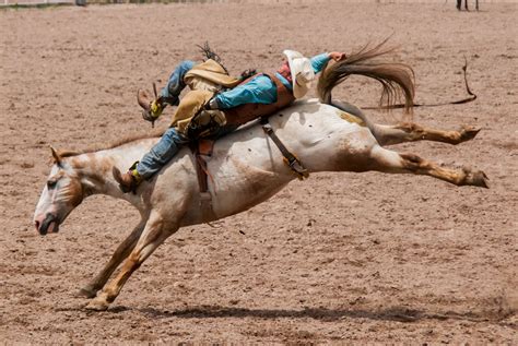 Cheyenne Frontier Days Rodeo | Bronc riding, Bareback bronc riding, Bareback bronc