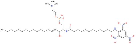 117985-56-5|TNPAL-Sphingomyelin|Sigma Aldrich ...