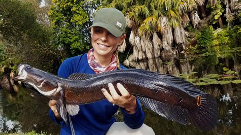 How the Snakehead Earned a Spot on Freshwater Bucket Lists - SheFishes2