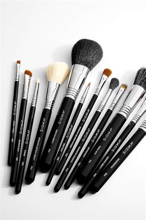 These Are the 15 Sigma Makeup Brushes You Need in Your Collection ...