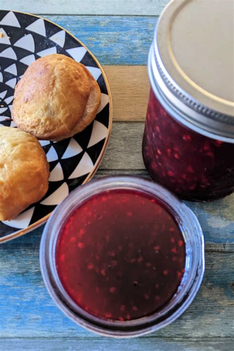 Prickly Pear Jam Recipe (No Pectin!) - Mama Likes To Cook