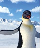 Gloria (Happy Feet) | Love Interest Wiki | FANDOM powered by Wikia