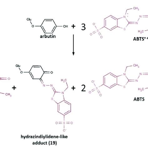 (PDF) ABTS/PP Decolorization Assay of Antioxidant Capacity Reaction Pathways