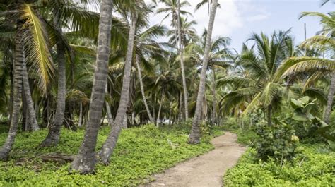 Tayrona National Park in Colombia: A Guide | Bookmundi