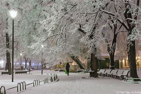 Walking In the Snow | Sofia bulgaria, City garden, Snow