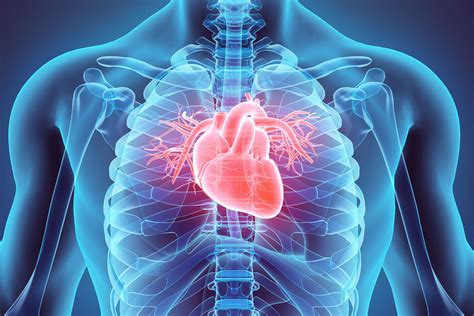 What Is a Heart Flutter & What Does It Mean? | Carda Health