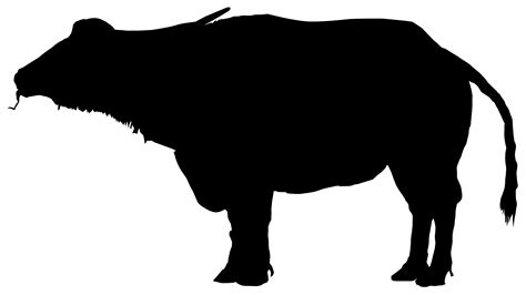 Water Buffalo Silhouette at GetDrawings | Free download