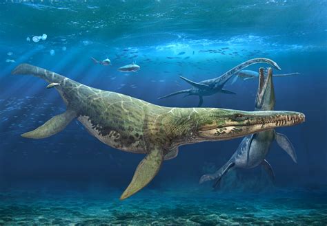 Jurassic Killing: Fossil Evidence of a Pliosaur Devouring Another Pliosaur.