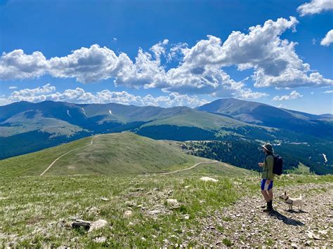 High country lookin green as hell : r/Colorado