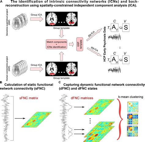 Frontiers | Whole-Brain Functional Network Connectivity Abnormalities in Affective and Non ...